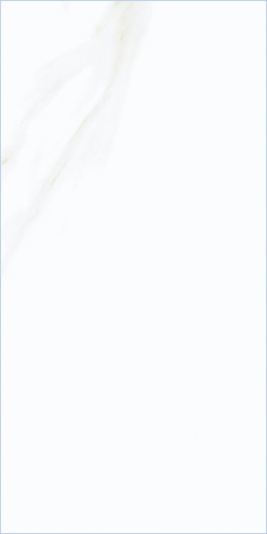 Time Cielo Matte 12 x 24